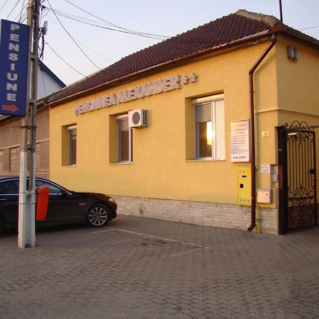 Pensiunea Alexander Arad Luaran gambar